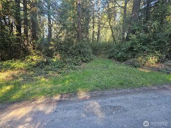 3 xx E Sunset Hill Road N, Shelton, WA 98584