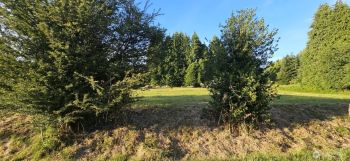 3590 Pennsylvania Street , Longview, WA 98632