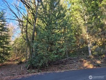 116 XX 198th Avenue E, Issaquah, WA 98027