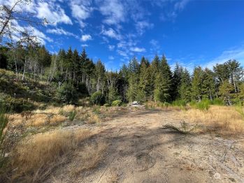 2899 2 Dan Kelly Road , Port Angeles, WA 98362