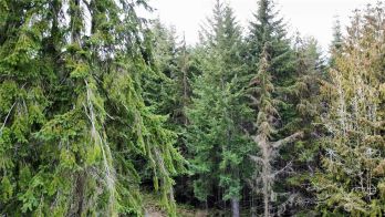0 Baker View Drive , Sequim, WA 98382