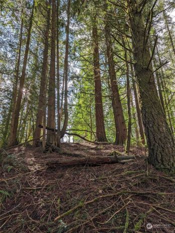 128 profit , Centralia, WA 98531