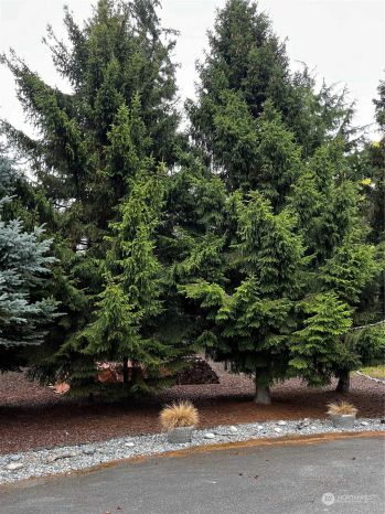 105 Ascot Ct , Sequim, WA 98382