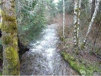 46212 E 162nd Avenue , Eatonville, WA 98328