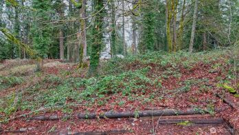 229 XX SE 312th Street , Black Diamond, WA 98010