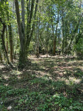0 Lot A, B Brockton Avenue , Suquamish, WA 98392