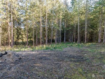 86 W Emerald Forrest Lane , Sequim, WA 98382