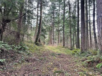 656 Puffin Court , Camano Island, WA 98282