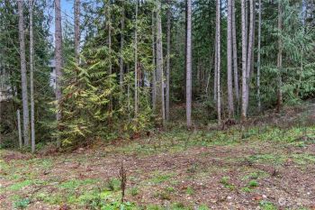 18635 Southwood Court SE, Yelm, WA 98597