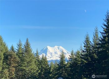 0 XXX Roedomsky Road E, Eatonville, WA 98328