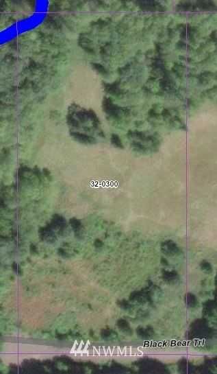9999 Lot 3 Black Bear Trail , Port Angeles, WA 98362