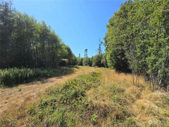 9999 Tributary Lane , Port Angeles, WA 98362