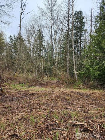 2316 Goshen Drive , Bellingham, WA 98226