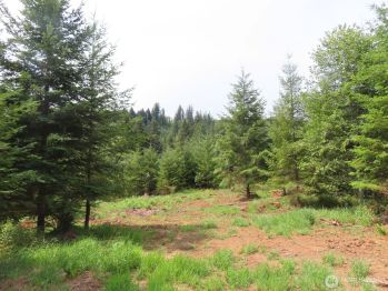 0 Lot I Mill Creek Lane , Longview, WA 98632
