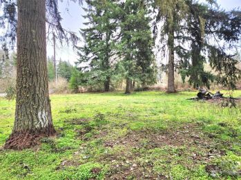 14820 Hwy 507 SE, Yelm, WA 98597