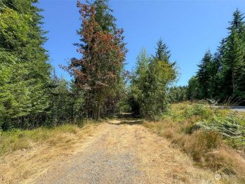 9999 Township Line Road , Port Angeles, WA 98362