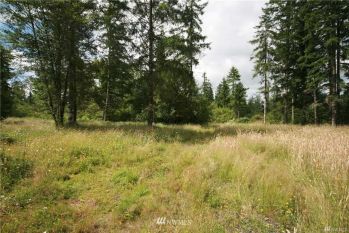 503 Tucker Road , Toledo, WA 98591