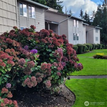 33010 17th Place S #A-108, Federal Way, WA 98003