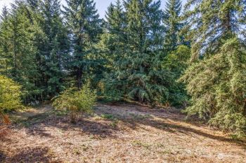 110 Rawlins Road , Toledo, WA 98591
