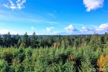 5 Cornwall Road SW, Lakebay, WA 98349