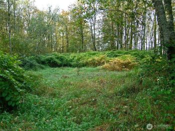 5973 North Fork Road , Deming, WA 98244