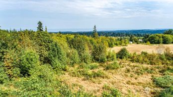 4444 Black Bear Trail , Port Angeles, WA 98362
