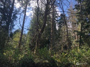 20937 President Point Road NE, Kingston, WA 98346