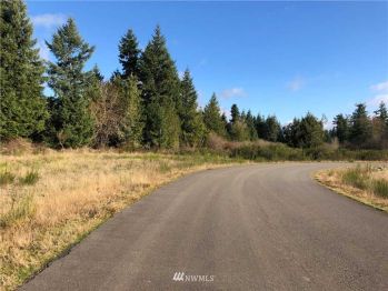 14601 Lindsay Loop SE, Yelm, WA 98597