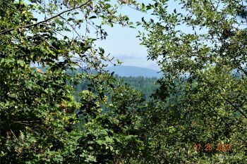 51957 114th Avenue E, Eatonville, WA 98328