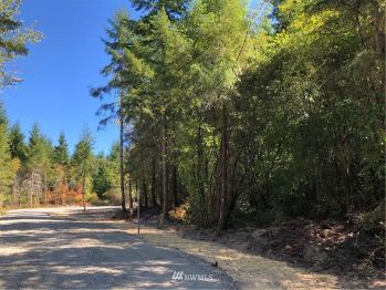 20319 167th Lane SE, Yelm, WA 98597