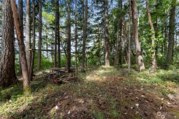 18105 Sundown Court SE, Yelm, WA 98597