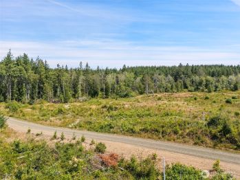 0 TR10 SE Wellswood Way , Shelton, WA 98584