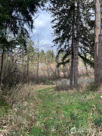 701 Iron Street Dr , Eatonville, WA 98328