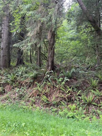 251 Lot 002 Woods Creek Road , Snohomish, WA 98290