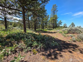 101 Wren Nest Road , East Wenatchee, WA 98802