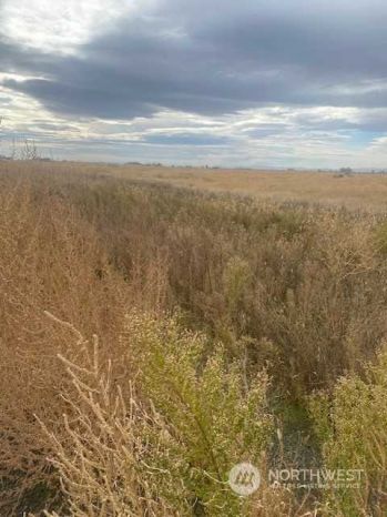7033 Road 10 NW (Lot 2) , Ephrata, WA 98823