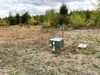 15610 Timber Ridge Drive SE, Yelm, WA 98597