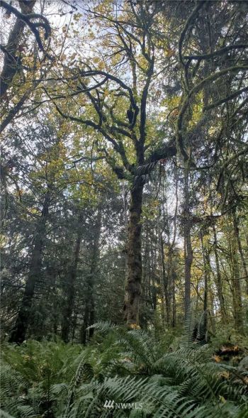 28276 Hansville Road NE, Kingston, WA 98346